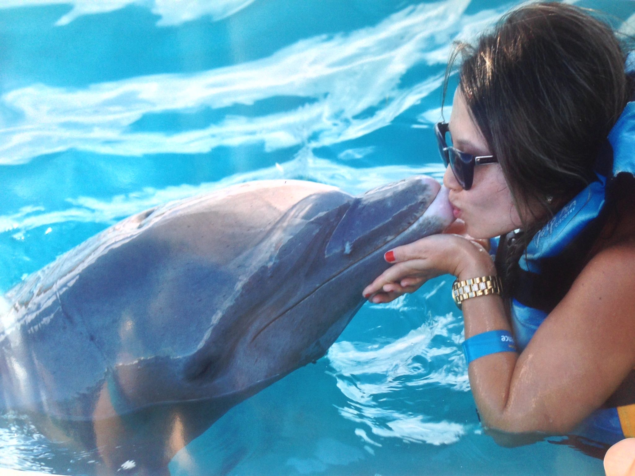 golfinhos-cancun