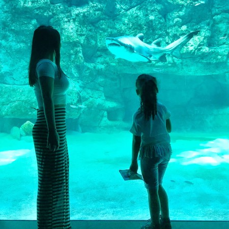 two oceans aquarium-003